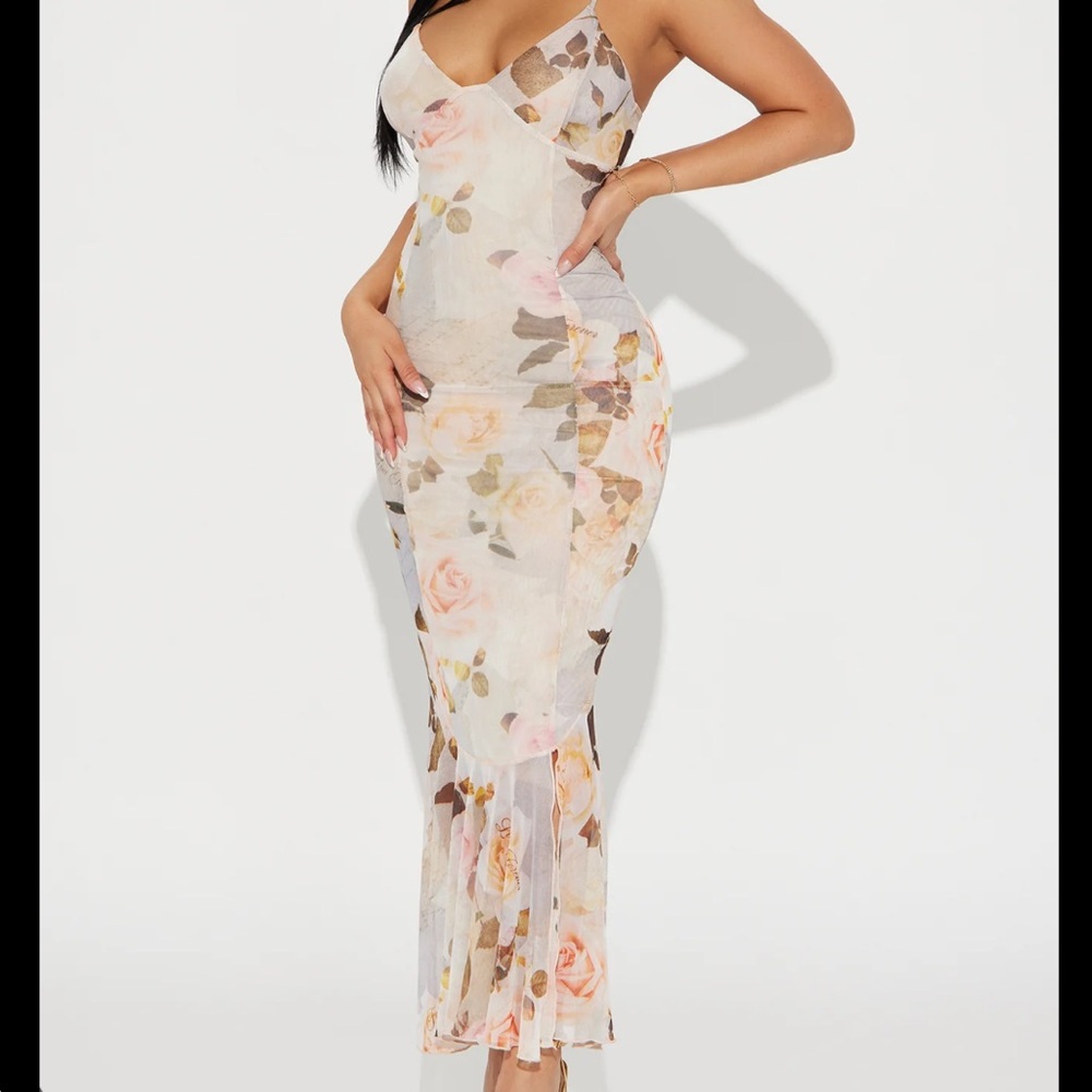Fashion Nova Love Letters Mesh Maxi Dress - White and Pink Floral
